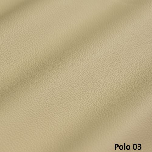 Polo 03